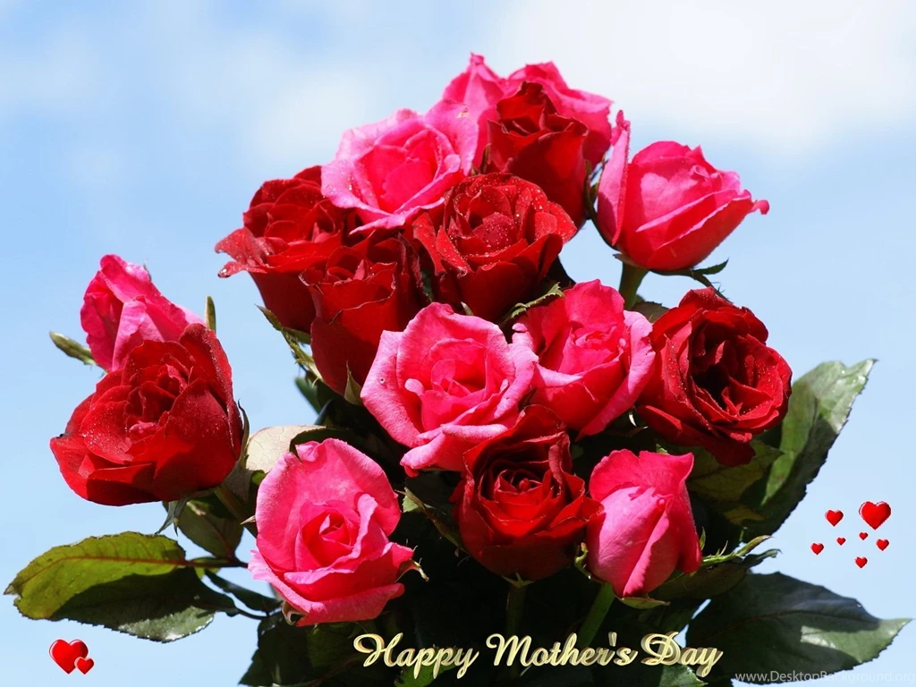 3d Wallpapers: Hd Flowers Wallpapers Free Download