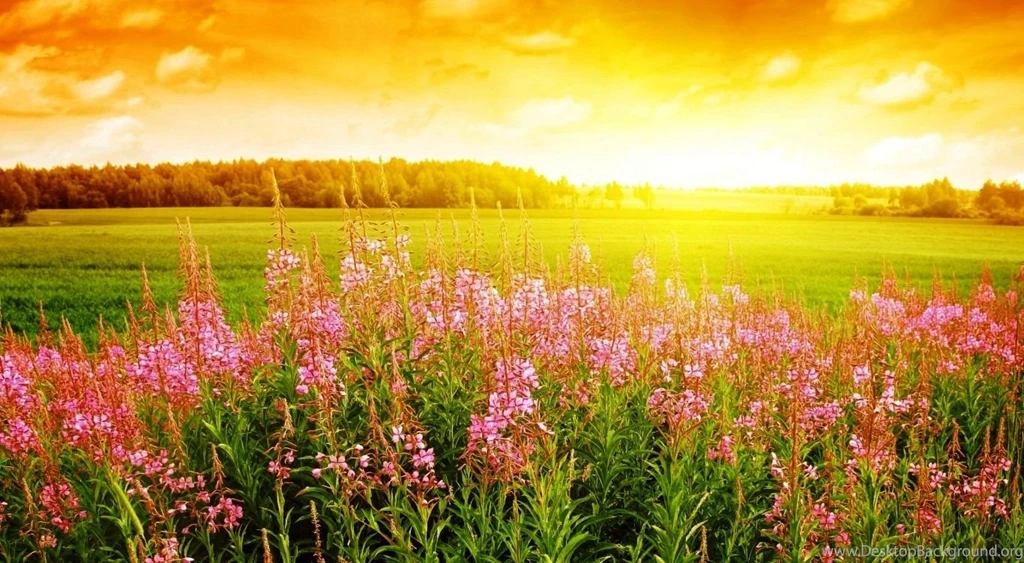 Summertime Desktop Backgrounds: Autumn By Free Download Best HD ...