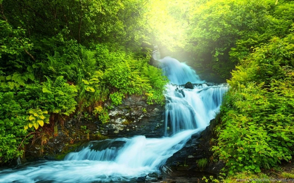 Hd Nature Wallpapers, Landscape, Natural Images, Flowers, Nature ...