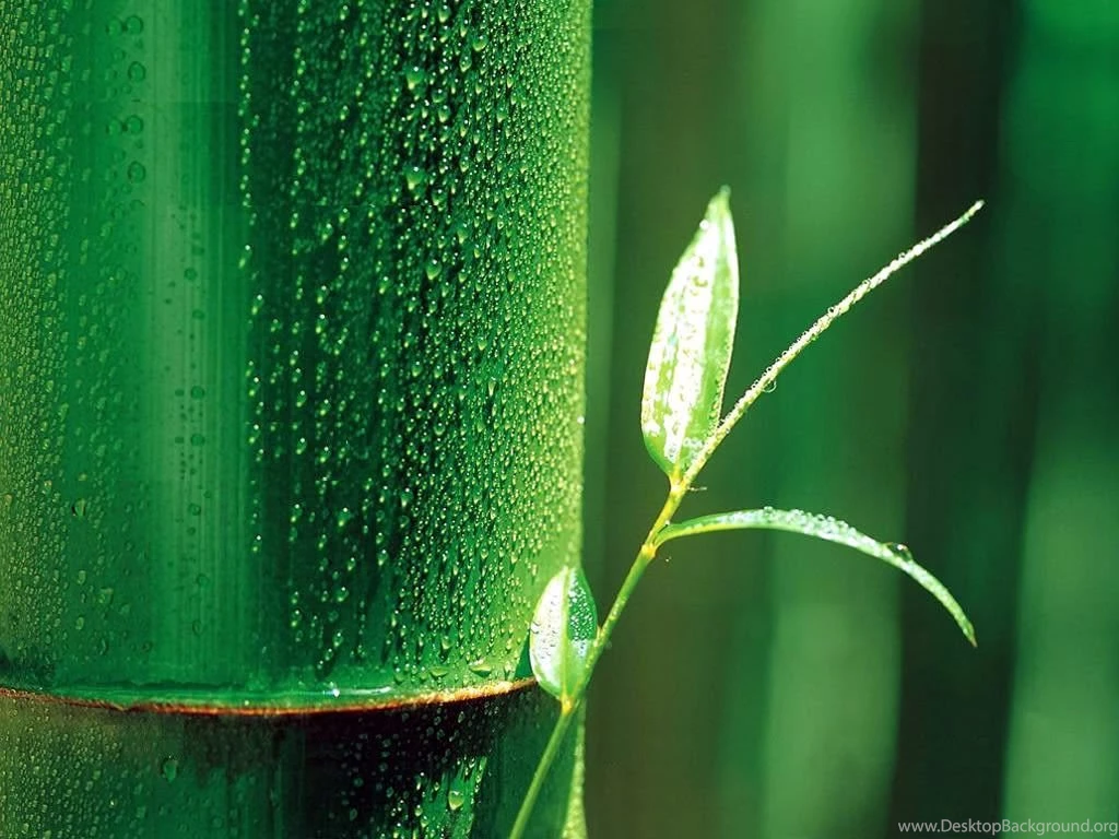 Nature Backgrounds Pictures, Images & Photos