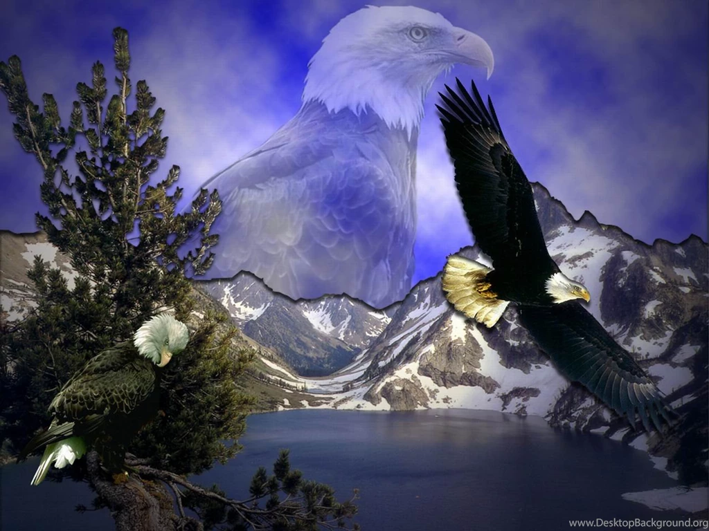 Free Wallpaper, Eagle Theme