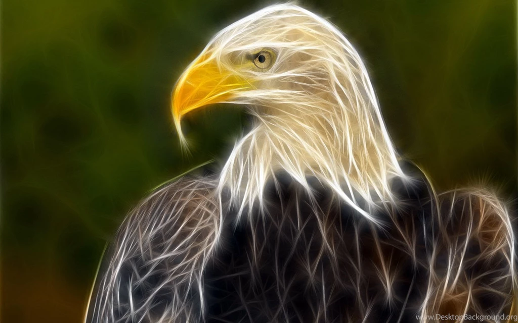 High Definition Eagle Wallpapers For Free Download