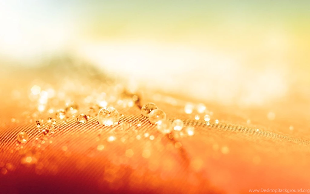 Water Resistant Wallpapers