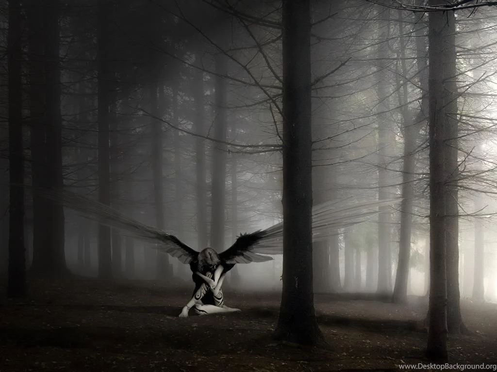 Dark Wings In The Forest Tablet Phone Wallpaper Backgrounds Album ...