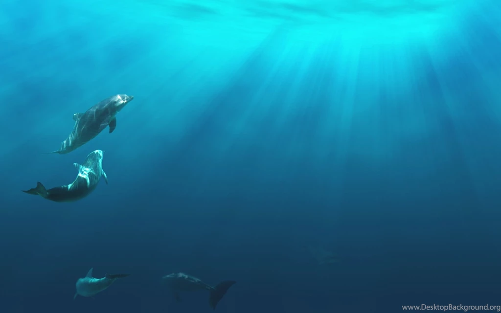 Ocean Underwater Wallpapers 103474