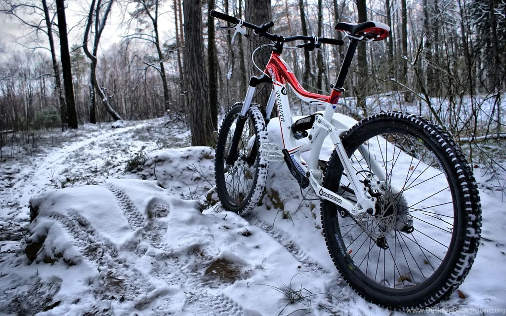 Wallpapers Bicycle, Forest, Bike, Winter, Snow Desktop Wallpapers ...