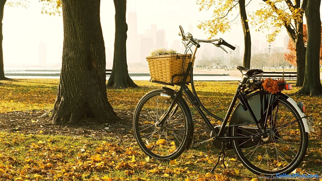 1920x1080   Page 257