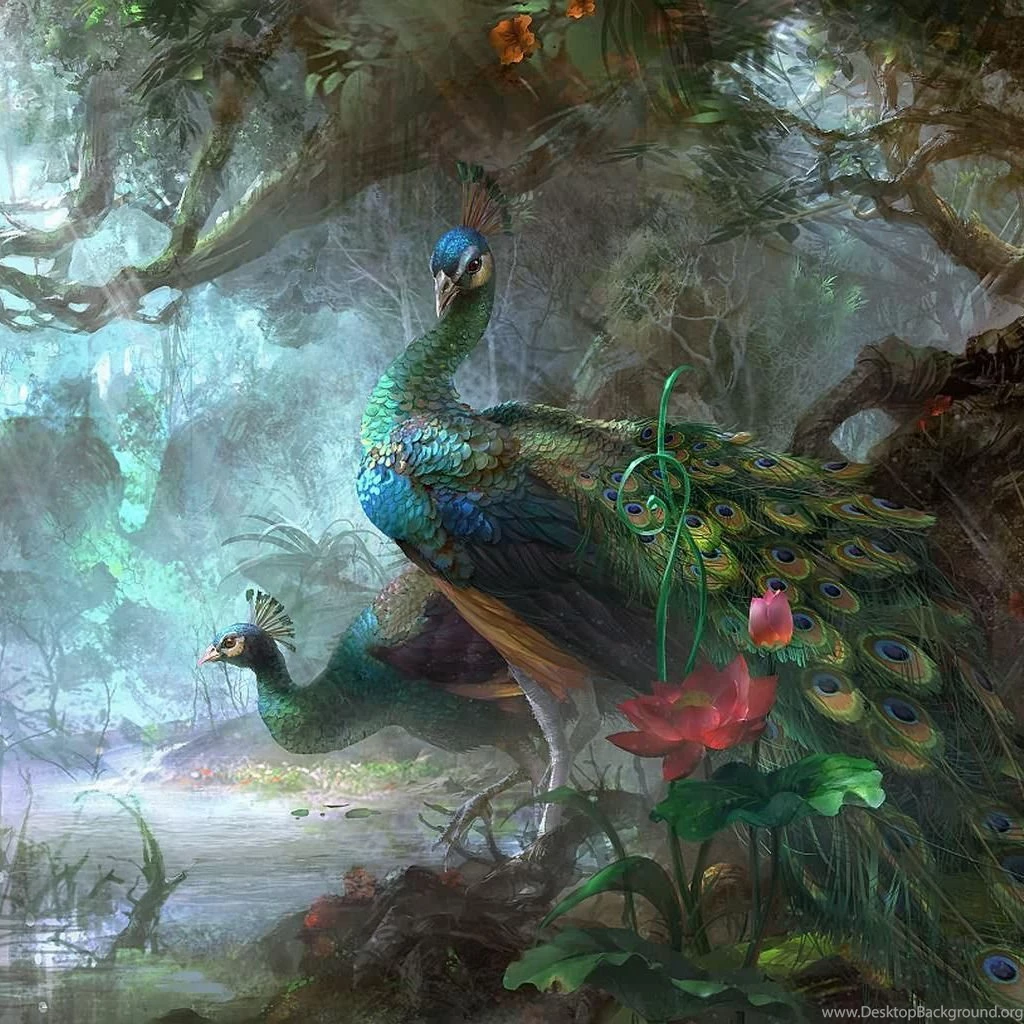 Peacock Painting Ipad Wallpapers Your Top HD Wallpapers