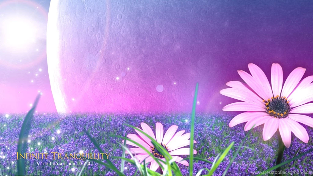 1680x1050px Music Pictures Free Wallpapers