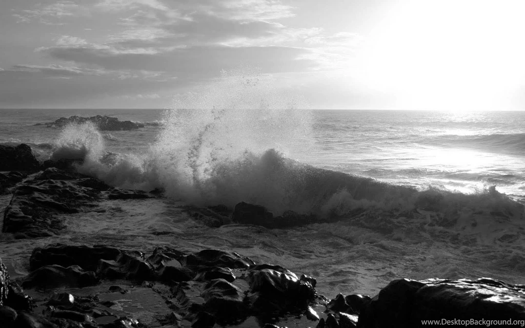 Wallpaper: Black And White Wallpapers