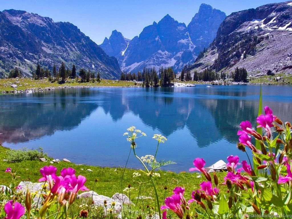 Wallpapers Nature 2