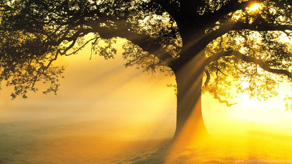 Www.wallpapereast.com Wallpapers Nature Page 7