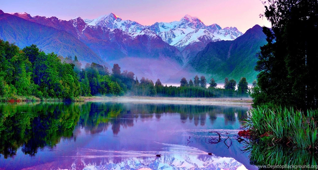 Organic Photos, Amazing Nature Wallpapers, Green, Fresh, Iphone ...