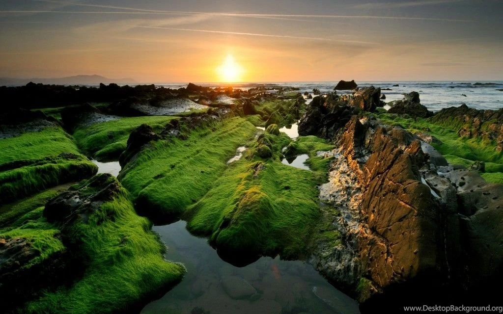 100 Beautiful & Amazing Nature HD Wallpapers TechBlogStop