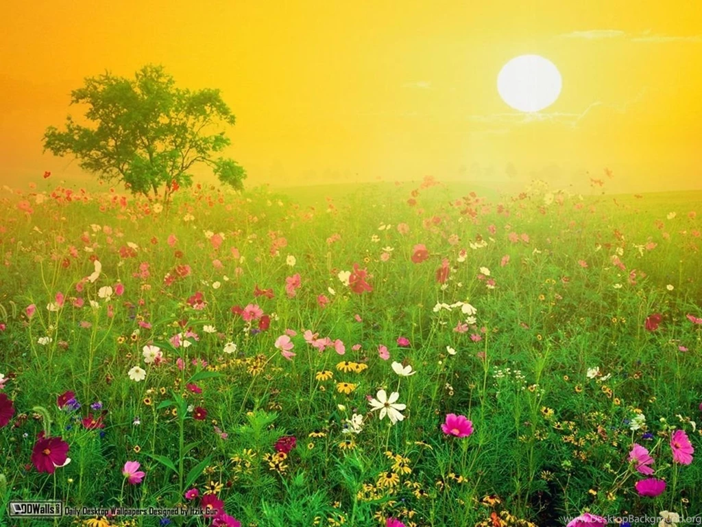 Amazing Nature Wallpapers   HD Wallpapers Lovely