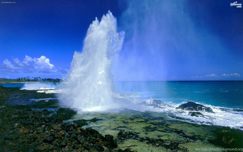 Amazing Nature Pictures Wallpapers HD Fine