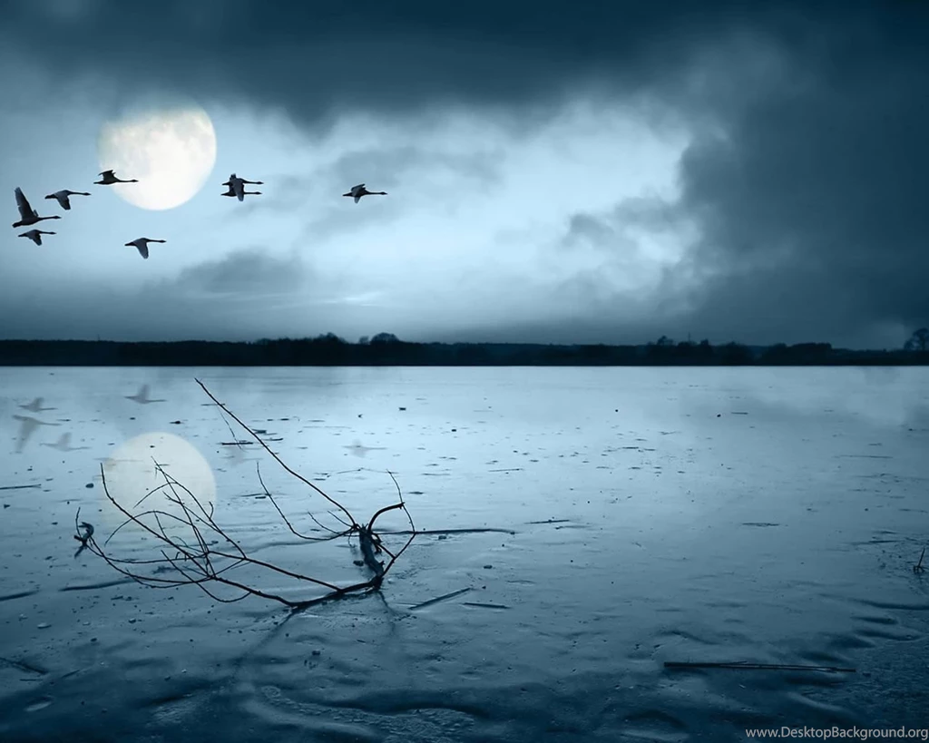 Amazing nature wallpaper 1280×1024 1001089