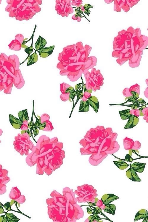 Pink Rose Wallpapers