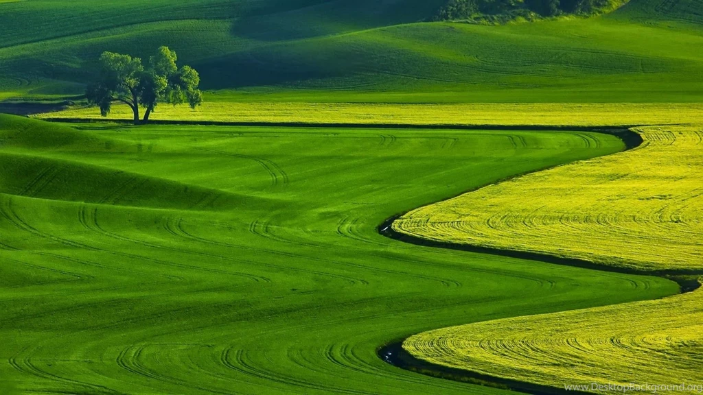 Free Download Hd Wallpapers For PC Widescreen HD Wallpapers