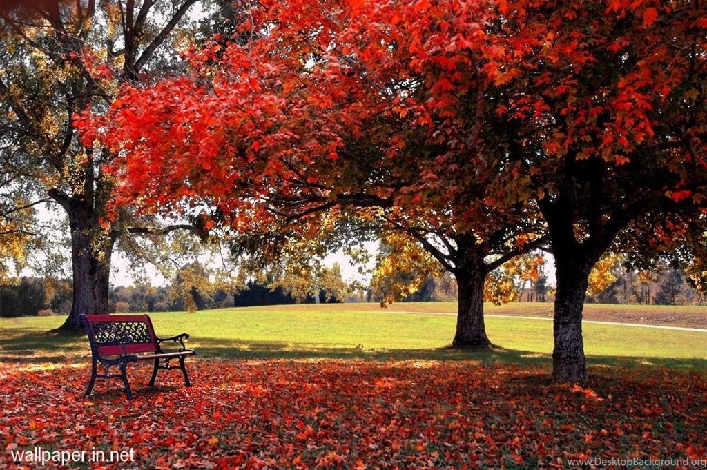 Download Full Hd Wallpapers For Desktop Archives Free Desktop ...