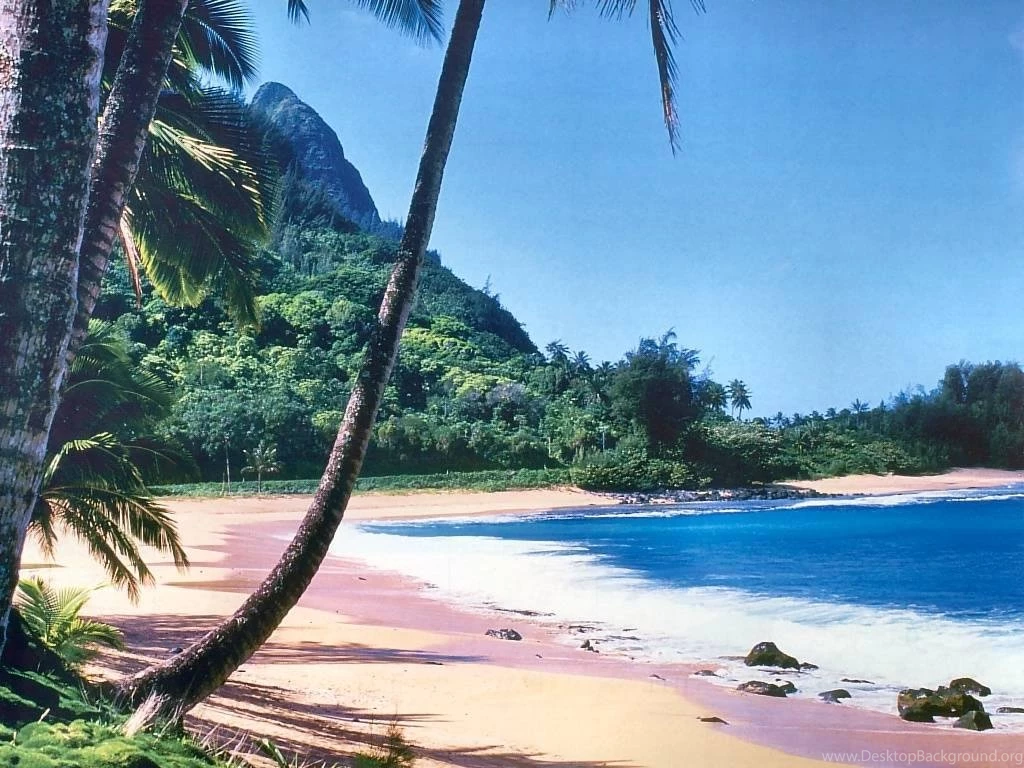 3D Beach Wallpaper 5.jpg