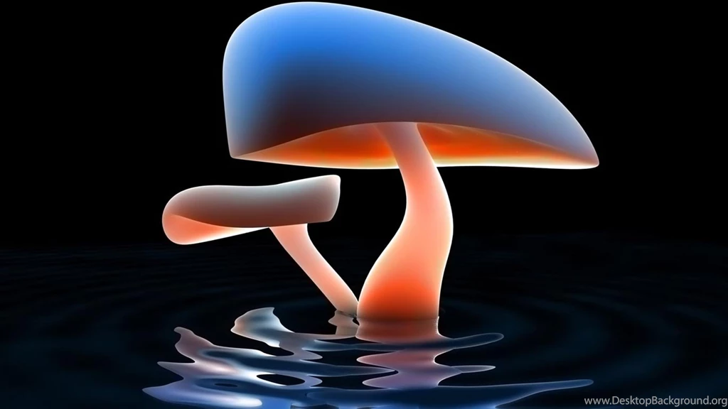 Desktop Wallpapers · Gallery · HD Notebook · Neon Mushrooms ...