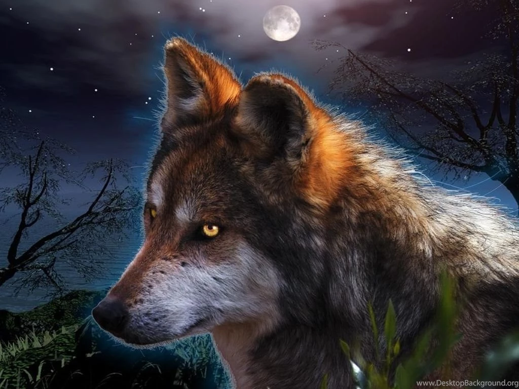 Fantasy Wallpapers Hd