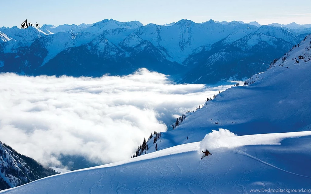 Snowboard Wallpapers And Images Wallpapers, Pictures, Photos