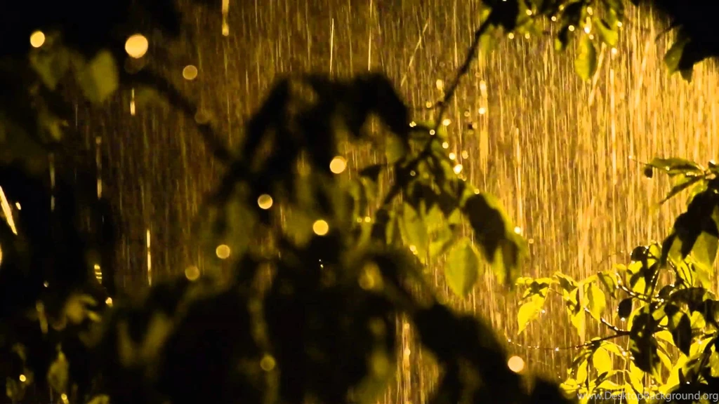 Rain In Night   Heavy Rain Sound & Video In Beautiful Nature Full ...