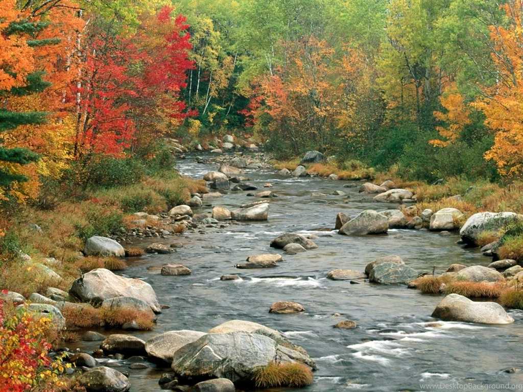 Download Autumn River Trees Free Wallpapers