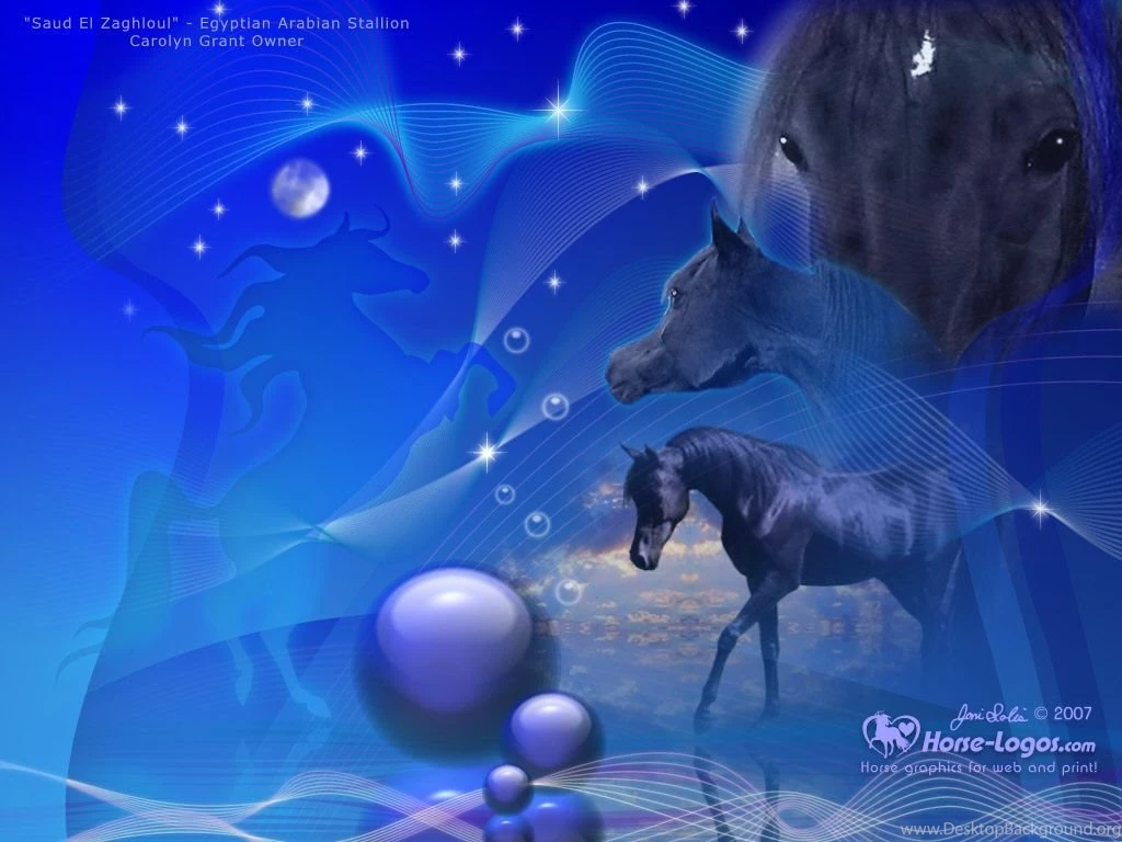 Free Horse Desktop Wallpapers – ALove4Horses.com