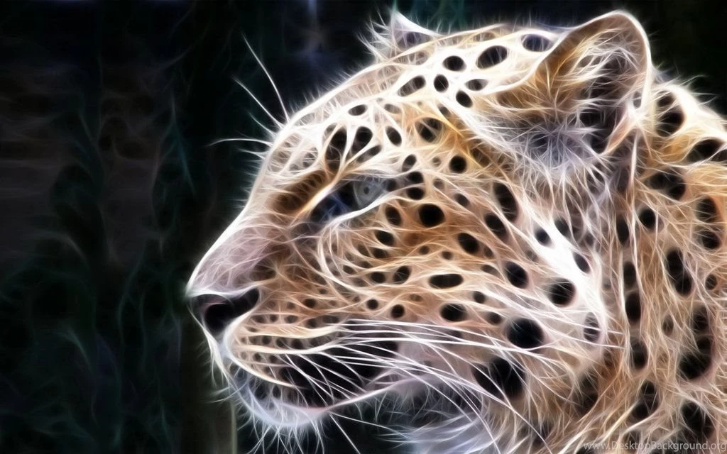 Gallery For   Animal 3d Wallpapers Hd