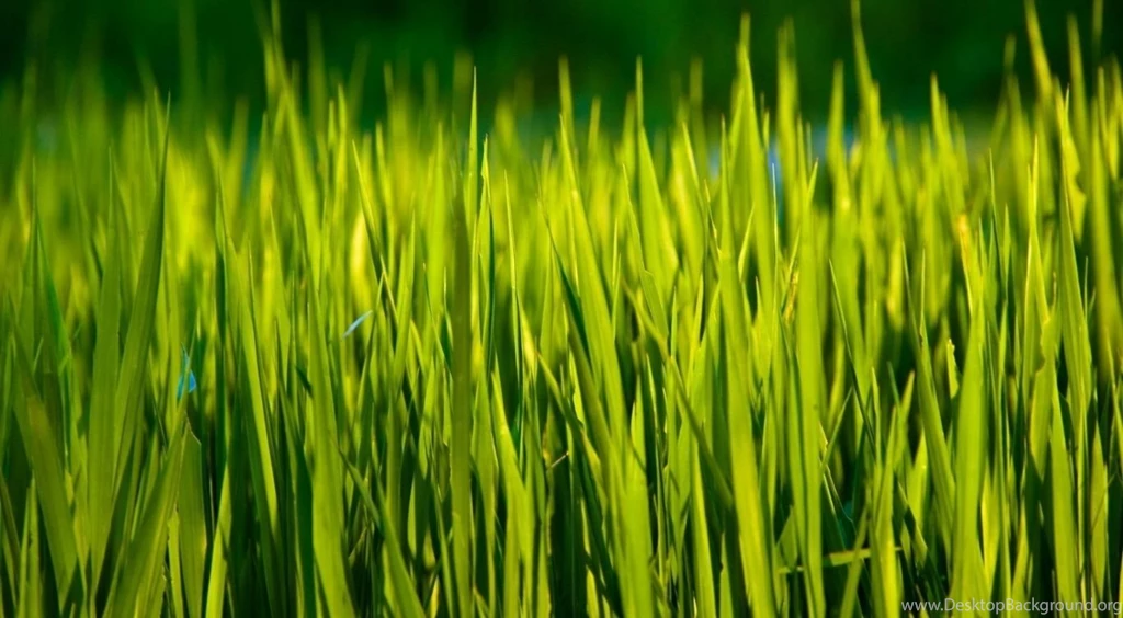 Best Wallpapers For PC 11 Photos Of Best Wallpapers For PC: By ...