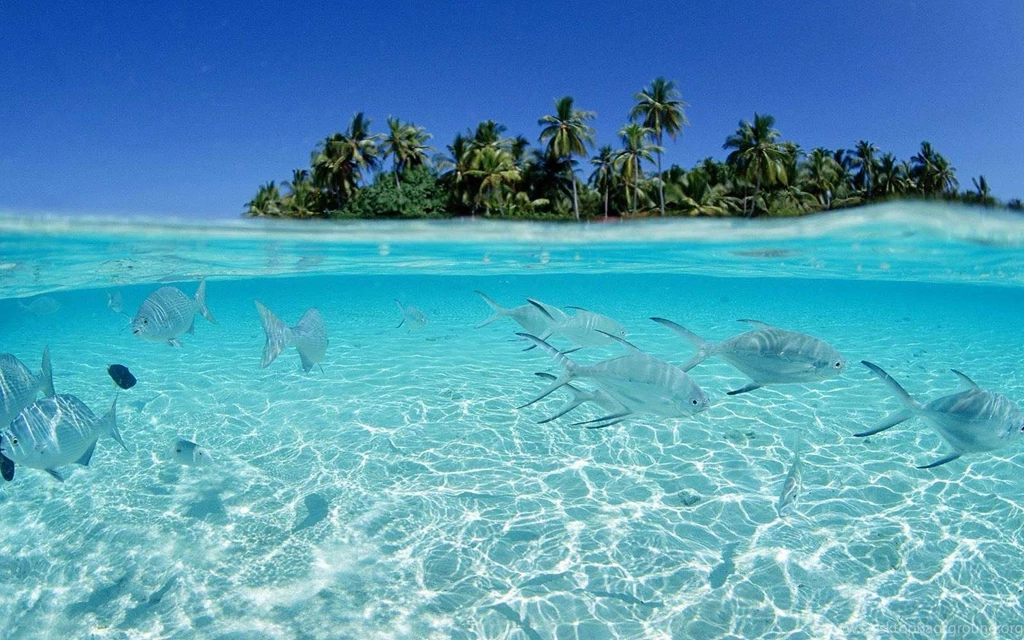 Nature wallpaper for desktop hd quality AMB1.jpg