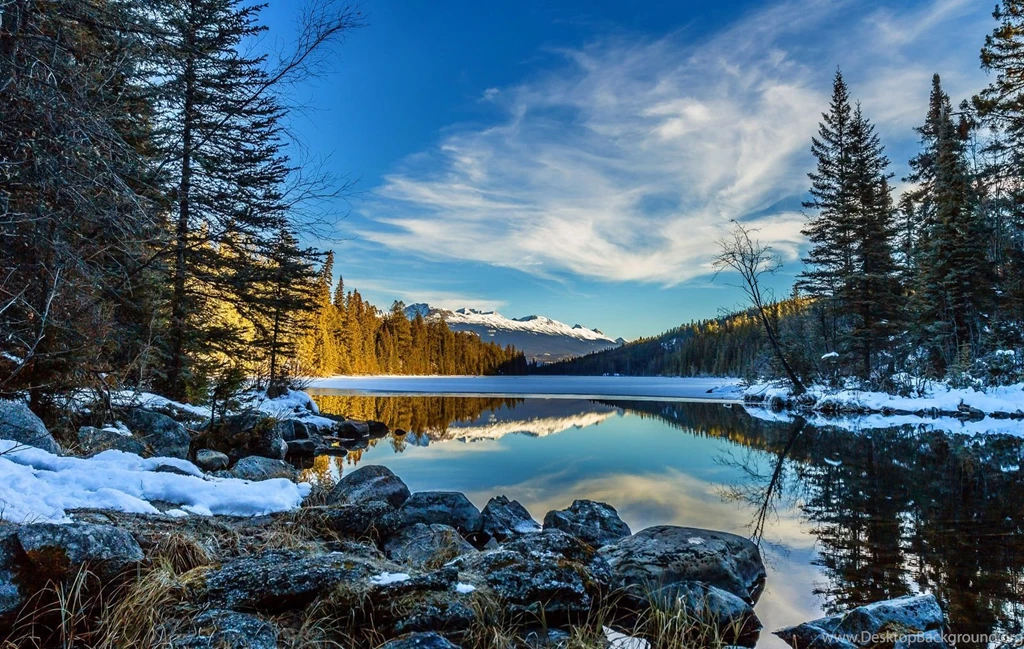 Hd Nature Images, Wallpapers Of Natures, Organic, Fresh Air ...