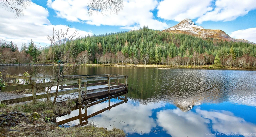 Hd Nature Images, Wallpapers Of Natures, Plants, Windows Nature ...