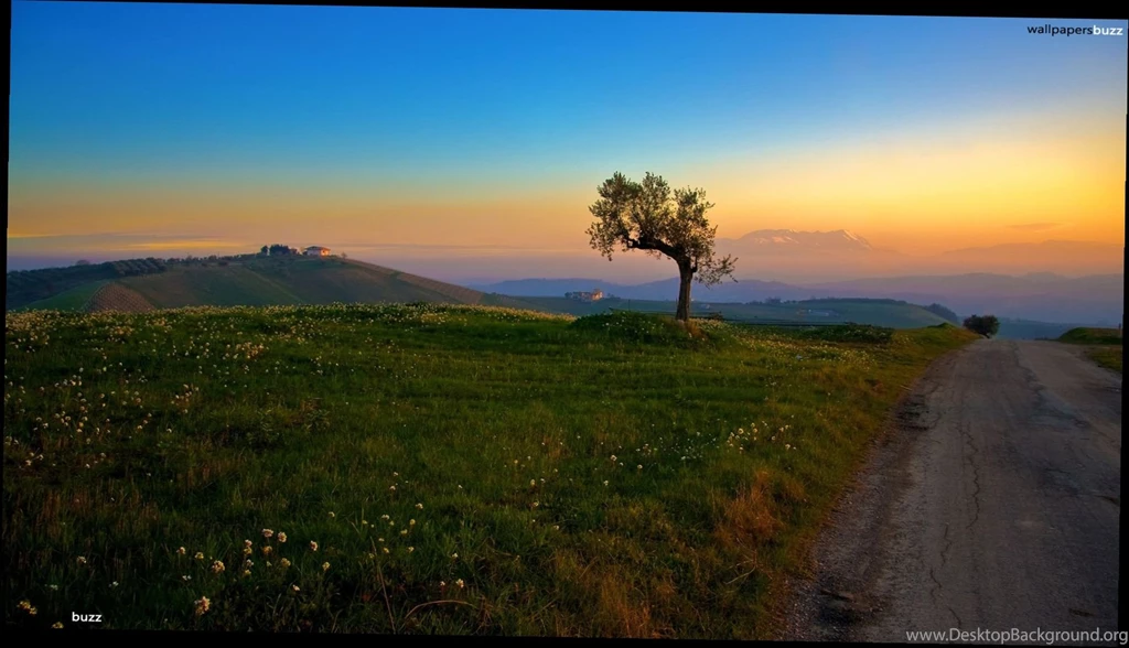 Landscape_backgrounds_hd_4.jpg