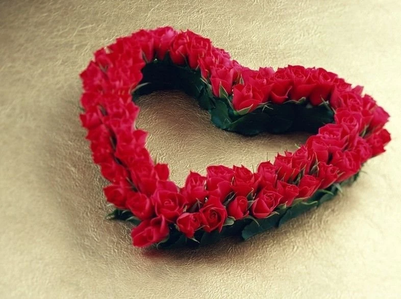 Beautiful Roses Pictures For Mobile & Desktop Backgrounds   Find ...