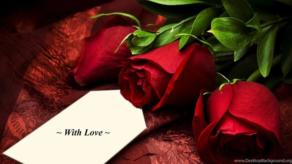 Desktop Red Rose Wallpapers HD CuteWallpaper.org