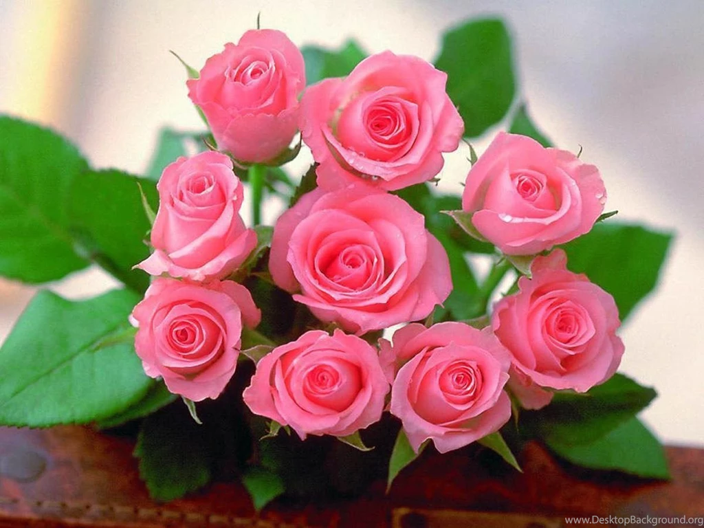 Roses Desktop Backgrounds