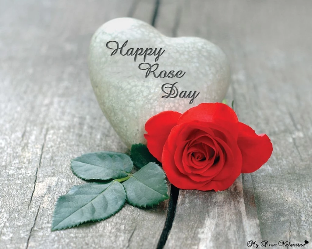Happy rose day images.jpg