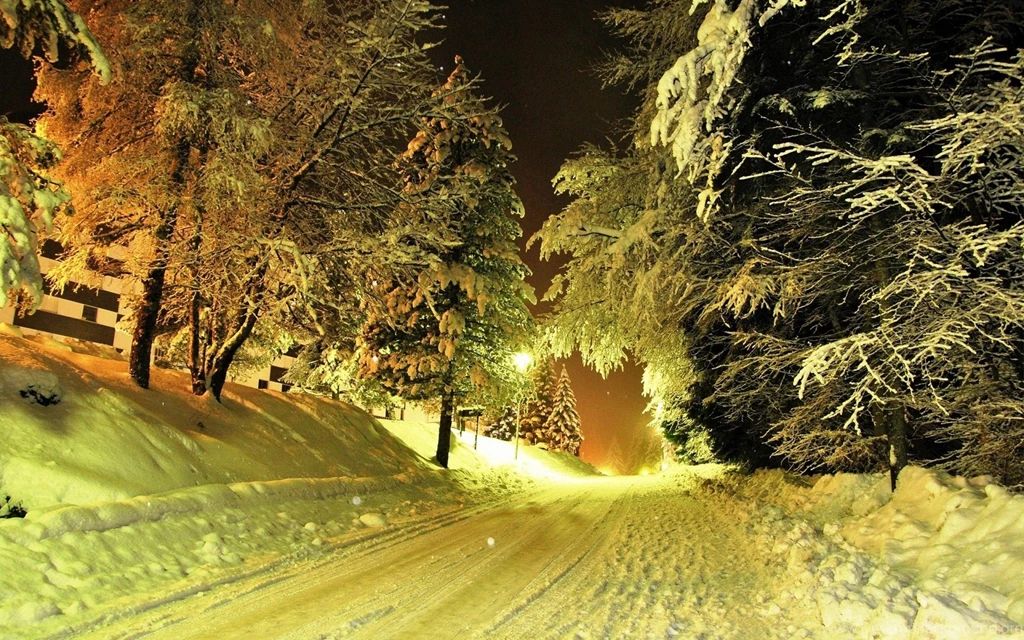 Winter Road At Night Wallpapers