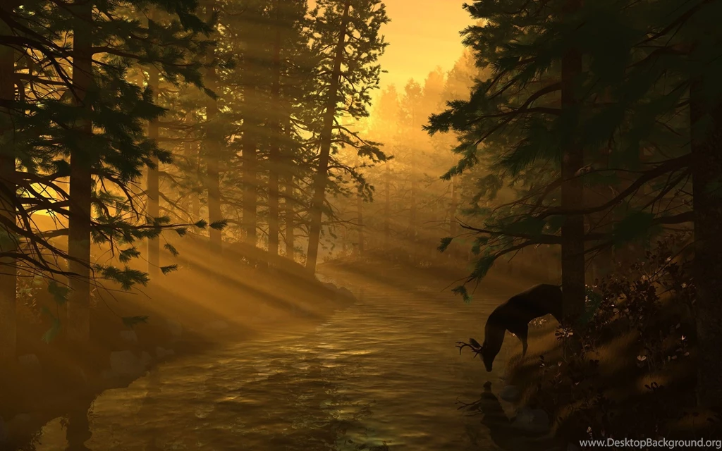 Deers At The Stream Wallpapers