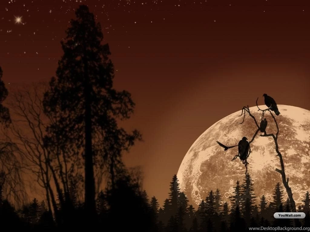 YouWall Full Moon Wallpapers Wallpaper,wallpapers,free ...