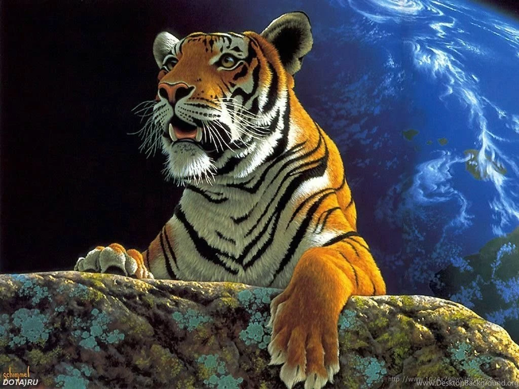 Tigers Tiger