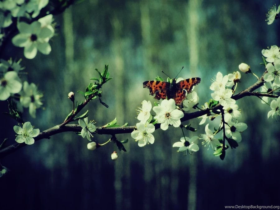 The_whole_wide_world_is_mine_by_princessisabell d3f0z7o.jpg