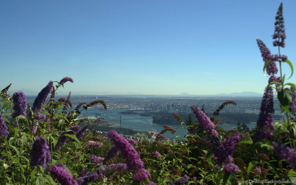 Flowery Vancouver Wallpapers And Images Wallpapers, Pictures, Photos