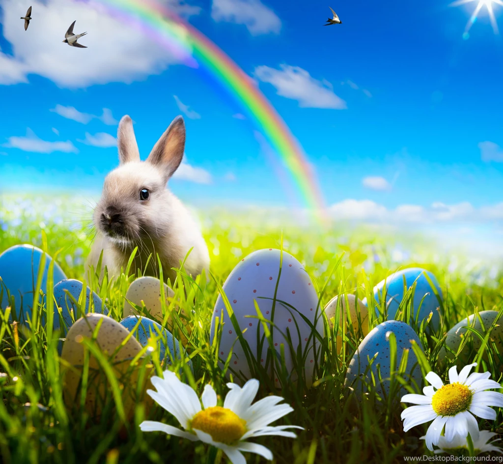 Download Wallpapers Easter, Bunny, Rabbit, Spring, Sunshine ...