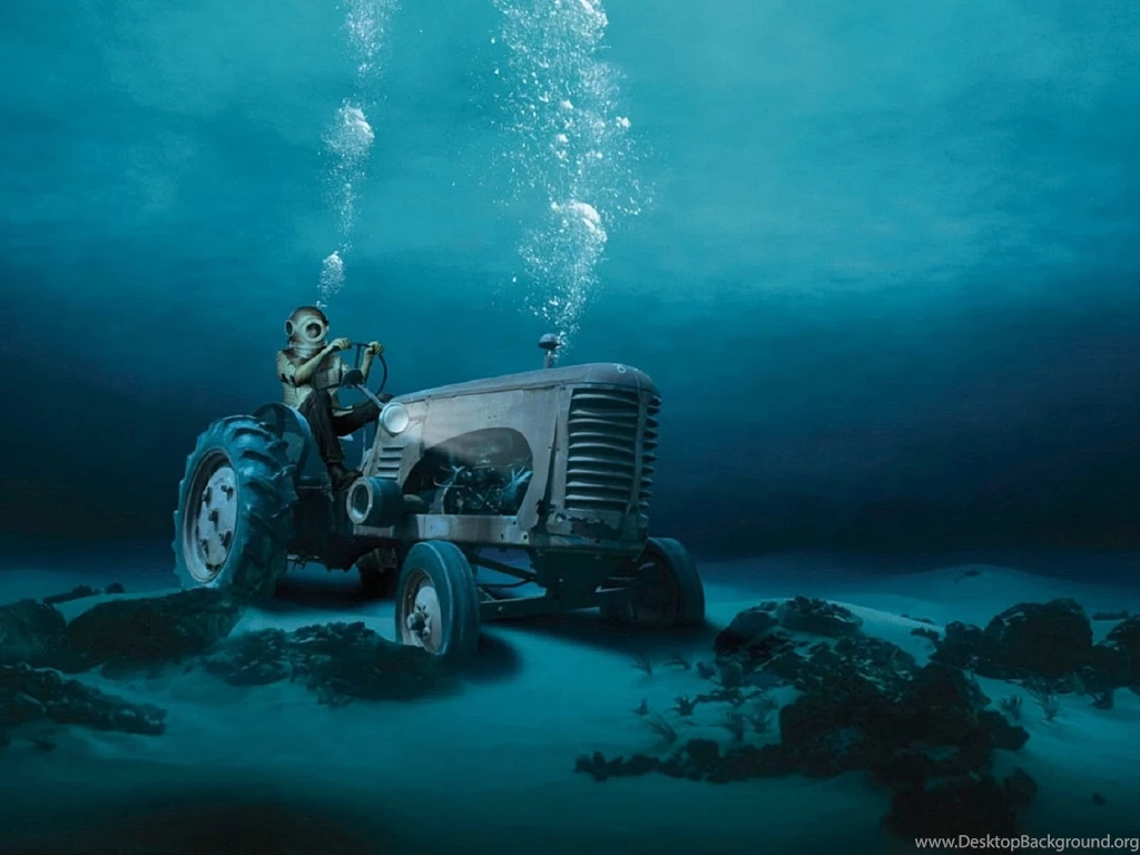 Free Download Wallpapers HD : Fantastic Funny High Resolution Hd ...