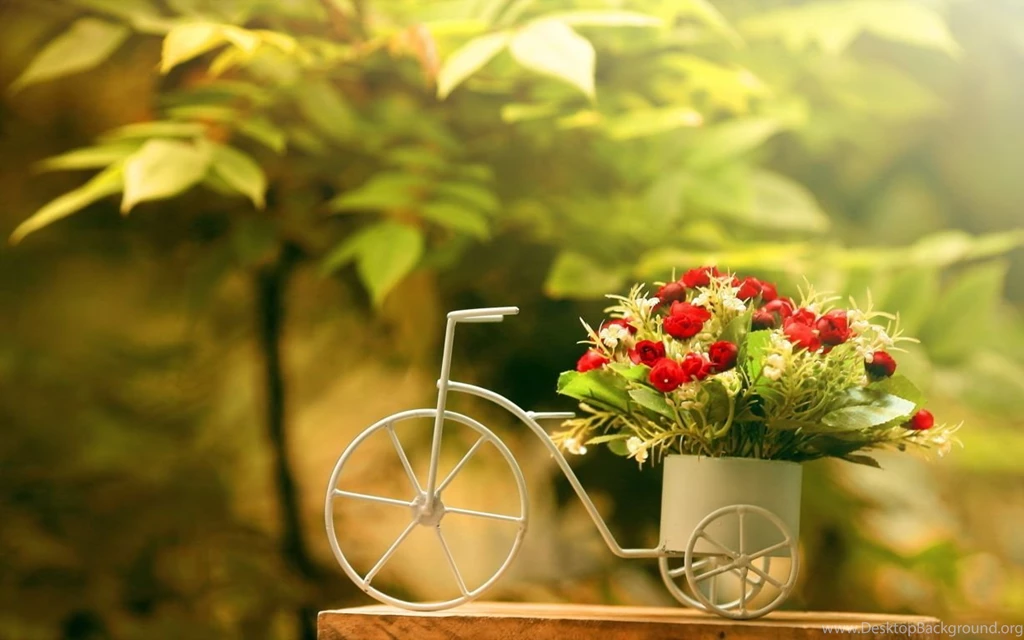 Flower Wallpapers STAY078